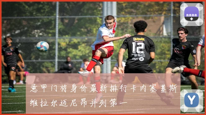 意甲门将身价最新排行卡内塞基斯维拉尔迈尼昂并列第一