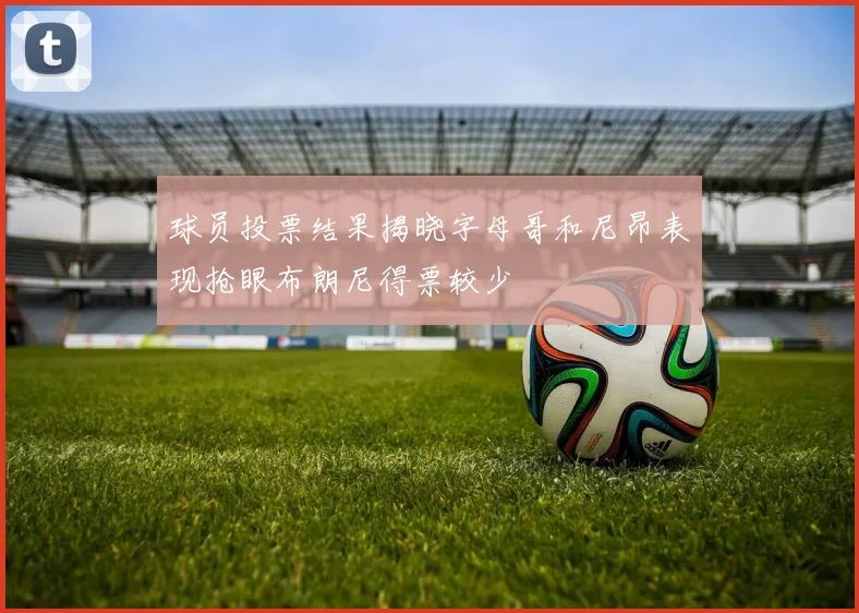 球员投票结果揭晓字母哥和尼昂表现抢眼布朗尼得票较少